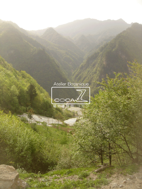 b0160123_0311744.gif