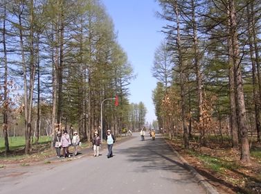 c0204725_0571449.jpg