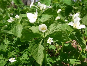 c0204725_111453.jpg