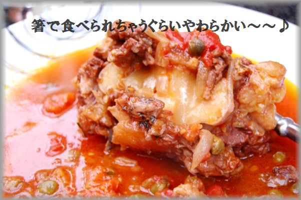 鶏ともやしのペペロンチーノ風サラダ & トマトとケイパーのオックステール赤ワイン煮込み_d0104926_4311166.jpg