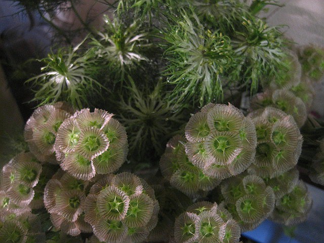 集中_c0102228_20122752.jpg
