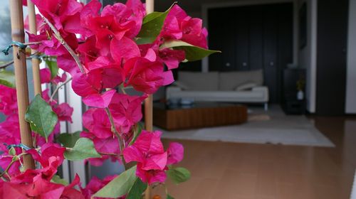 c0203328_1714495.jpg