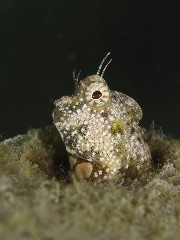 b0100730_2213250.jpg