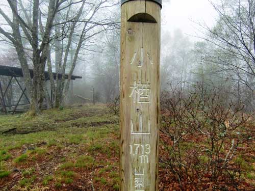 新緑の小楢山１７１２ｍ、新芽が綺麗でした。_d0000031_1624683.jpg