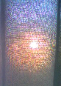 カーテン越しの朝の光。_f0025533_0223.jpg