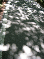 f0038336_836960.jpg