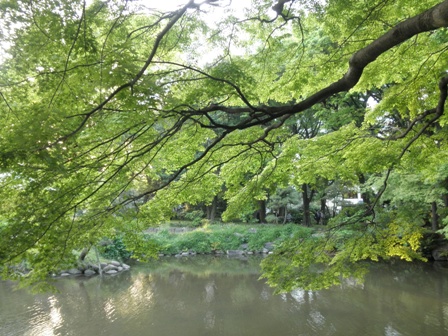 e0028650_2123143.jpg