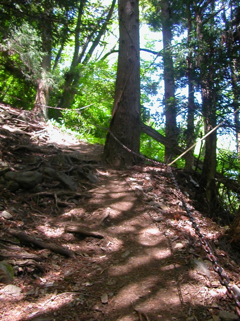 太白山〜治山の森_b0180352_0123122.jpg