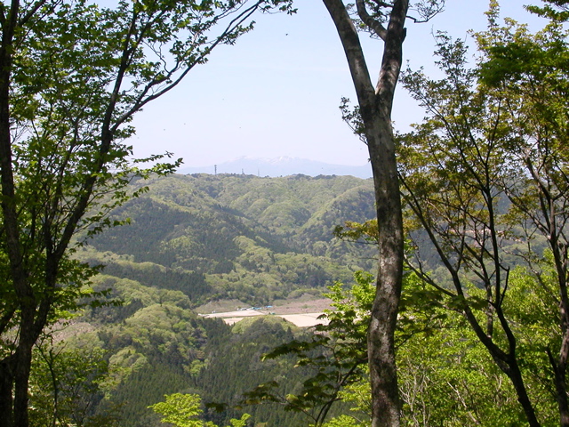 太白山〜治山の森_b0180352_0302276.jpg