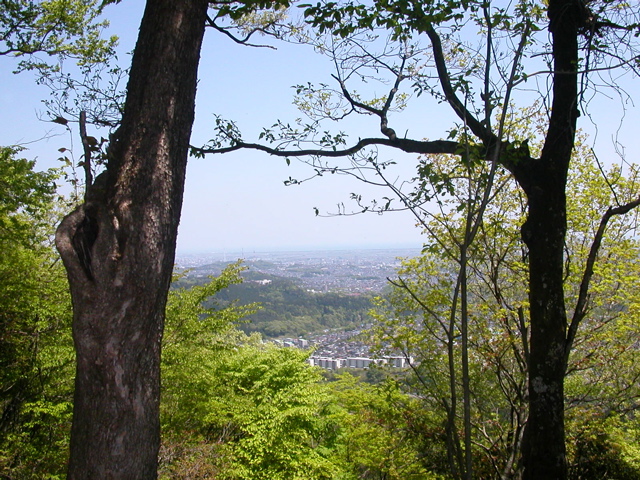 太白山〜治山の森_b0180352_030628.jpg