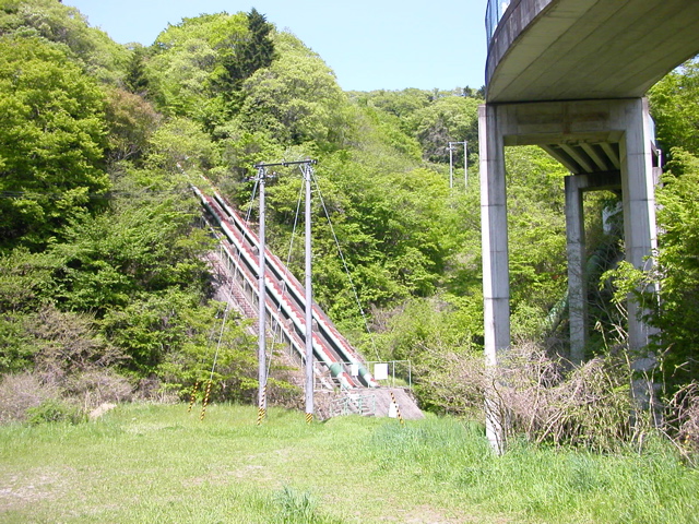 太白山〜治山の森_b0180352_110536.jpg