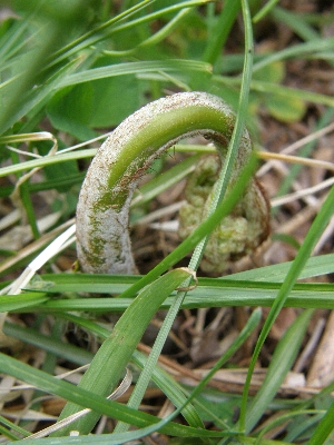 f0035962_8382232.jpg