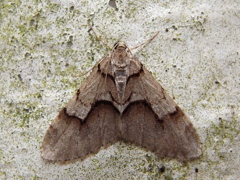 b0130166_21525977.jpg