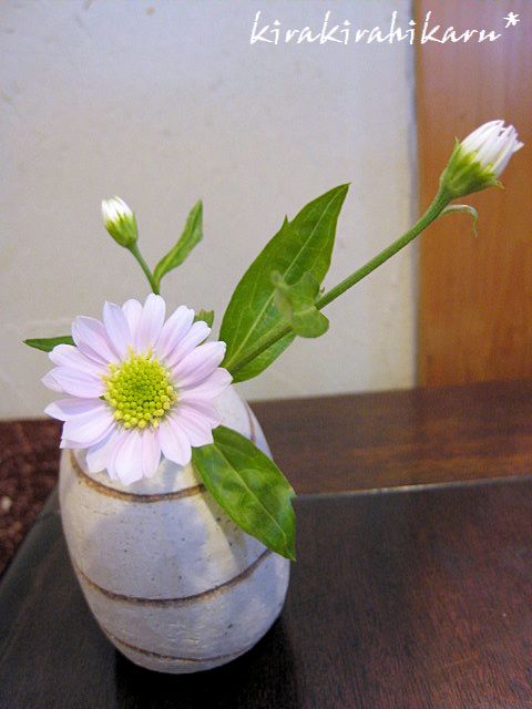 e0173670_1351403.jpg