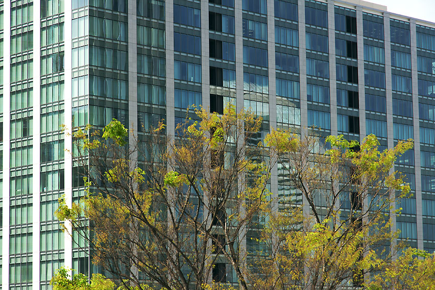 e0153076_04649.jpg
