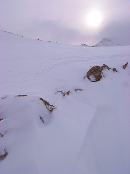 b0110880_41926.jpg