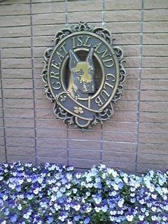 b0147481_9585219.jpg