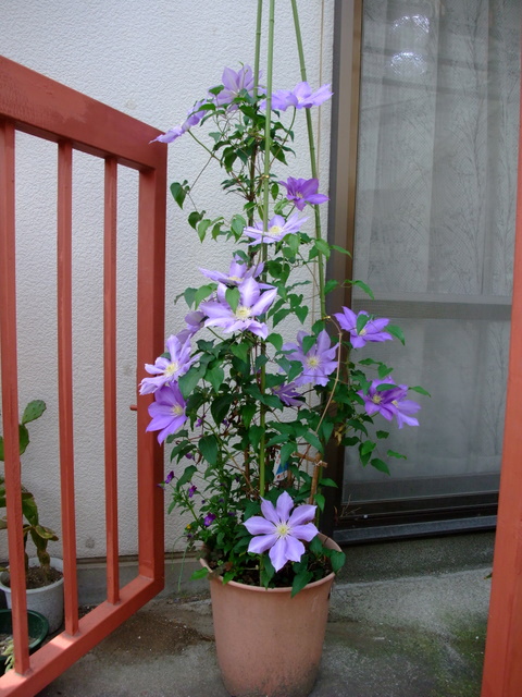 a0043982_22482029.jpg