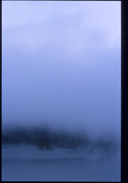 a0053783_99585.jpg