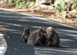 c0018489_0131580.jpg
