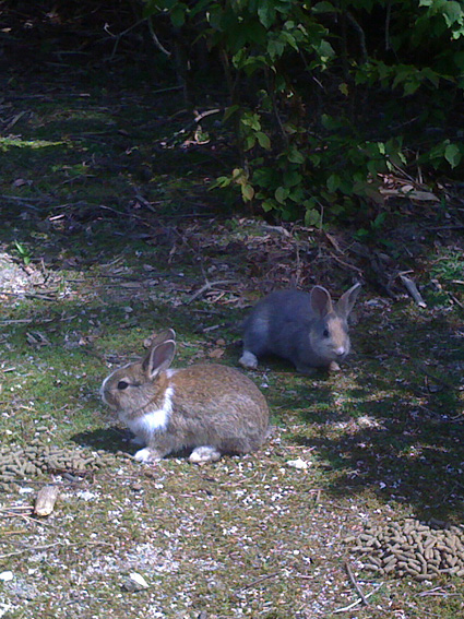 f0201191_01068.jpg