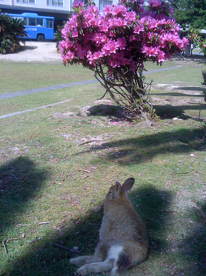 f0201191_07273.jpg