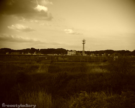 c0006592_8134492.jpg