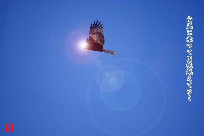 ひとめあなたに ノムリエphoto575 ひとめあなたに ノムリエphoto575