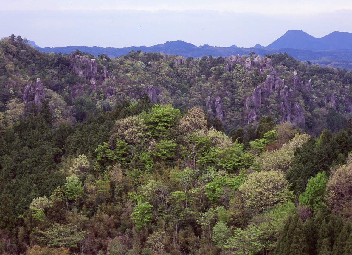 d0136496_23561954.jpg