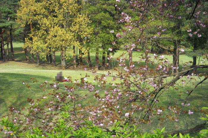 春のスケッチ13野川公園：Spring has come_b0144301_9463836.jpg