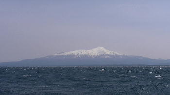 島鳥（４）_c0059002_2221676.jpg