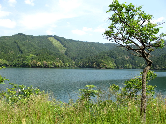 c0036203_2039101.jpg