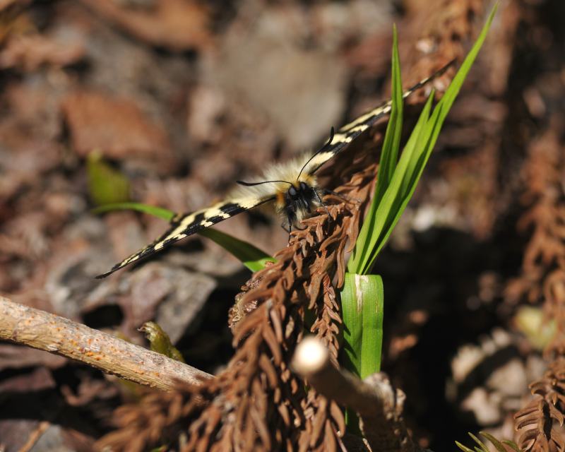 e0103903_2141698.jpg