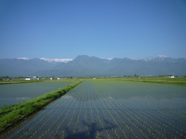 いけだまちの空_c0202104_825258.jpg