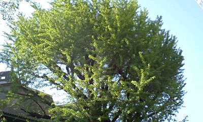 d0054704_2254276.jpg