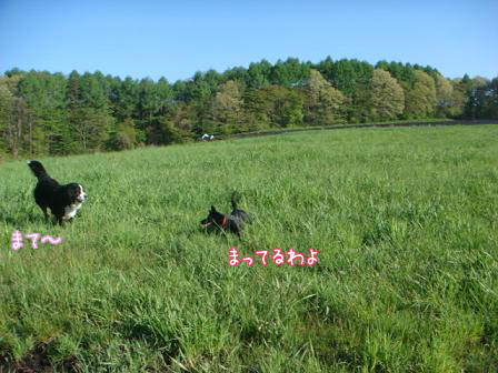 走る走る走る_f0064906_18472227.jpg