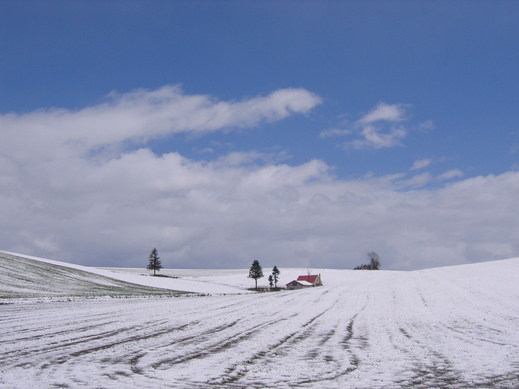 d0160307_22504714.jpg