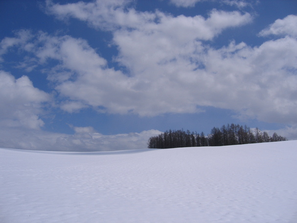d0160307_22563524.jpg