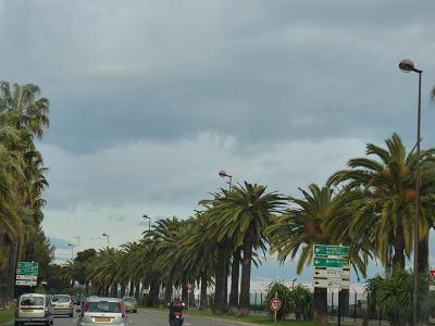 a0136808_12373734.jpg