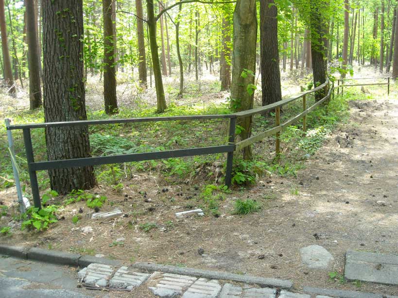 c0085508_21451054.jpg