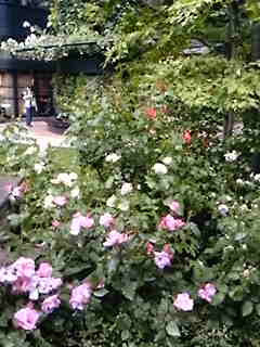 a0048609_4575861.jpg