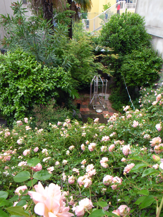 c0177109_17563254.jpg