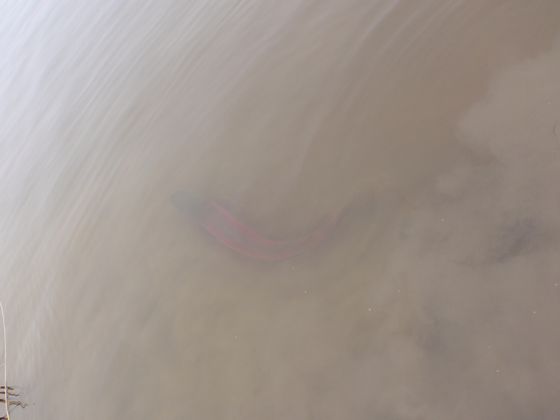 a0046210_22251658.jpg
