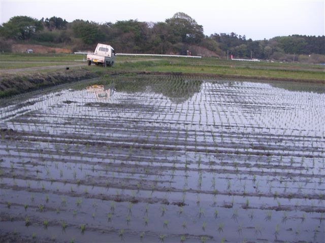 a0127015_21133487.jpg