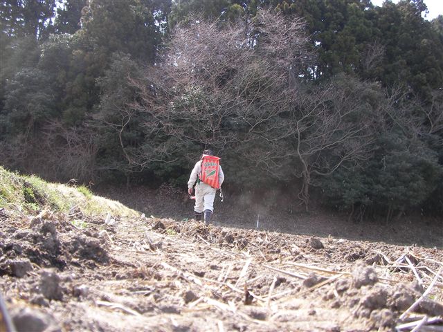 a0127015_215061.jpg