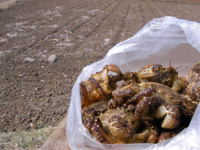 a0127015_215558.jpg