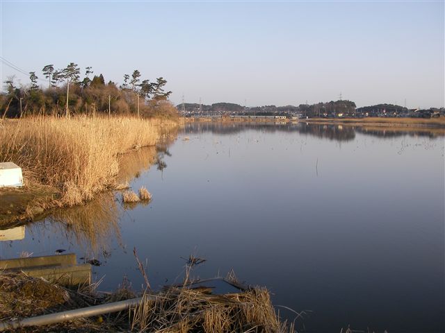 a0127015_2165493.jpg