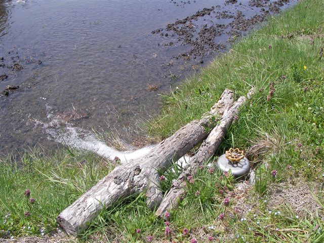 a0127015_218915.jpg