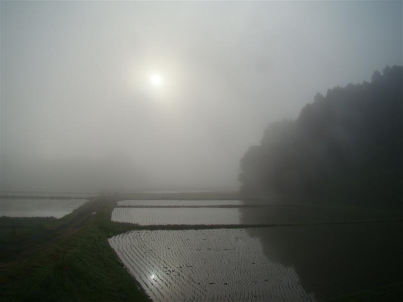 a0127015_6324754.jpg