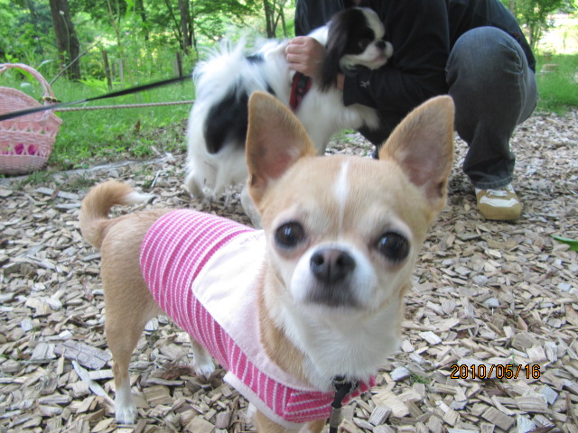 c0200916_2144998.jpg